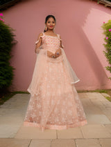 Gown with Stone Work & Embroidery by Shreekama